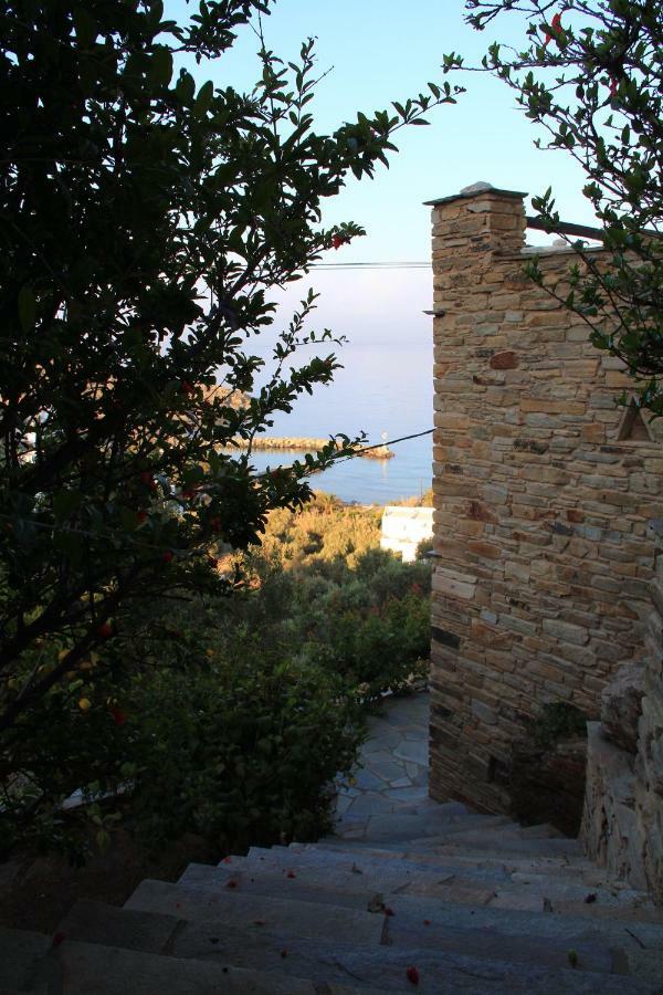 Cozy Guesthouse - Agios Romanos Eksteriør billede
